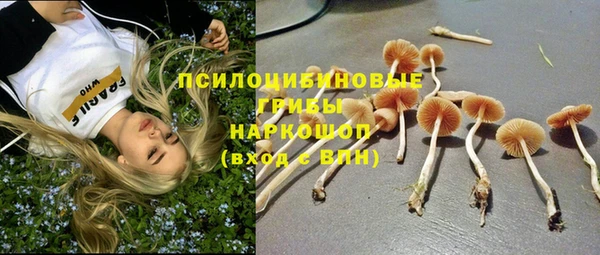 mdpv Нефтекумск