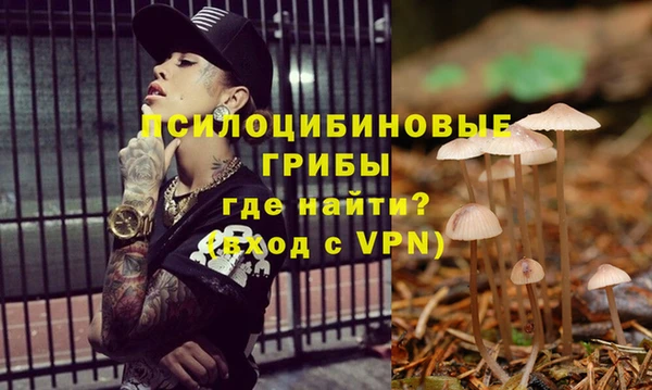 стафф Нея
