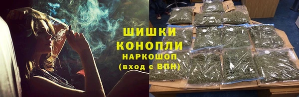 молекула духа Новокубанск