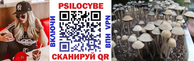 Галлюциногенные грибы ЛСД Кола